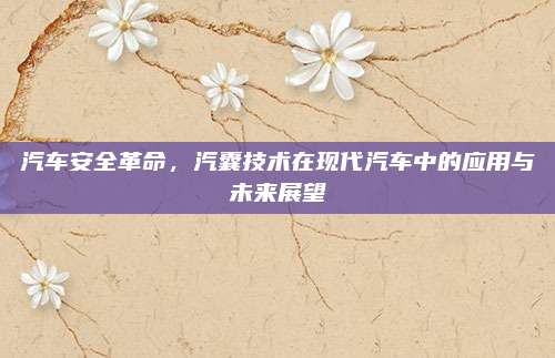 汽车安全革命,汽囊技术在现代汽车中的应用与未来展望