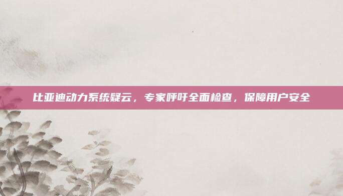比亚迪动力系统疑云,专家呼吁全面检查,保障用户安全