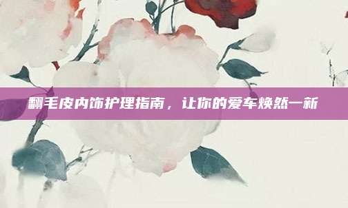 翻毛皮内饰护理指南,让你的爱车焕然一新