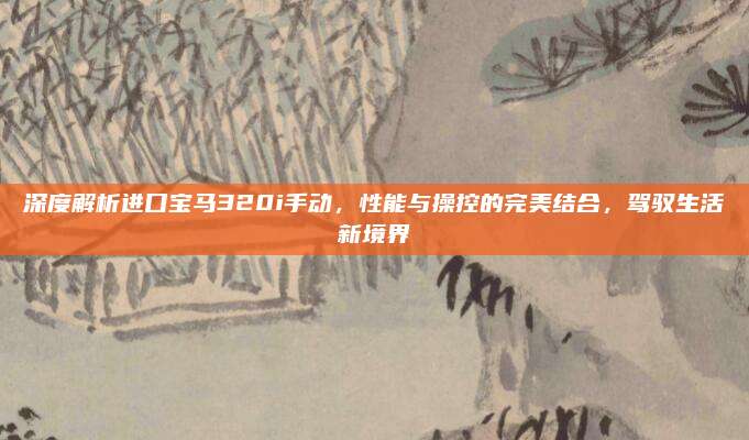 深度解析进口宝马320i手动,性能与操控的完美结合,驾驭生活新境界