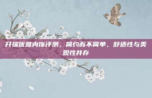 开瑞优雅内饰评测,简约而不简单,舒适性与美观性并存