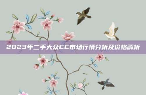 2023年二手大众CC市场行情分析及价格解析