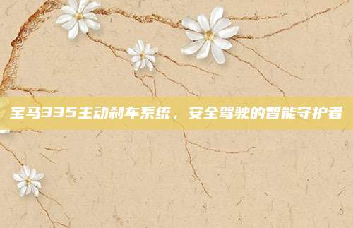 宝马335主动刹车系统,安全驾驶的智能守护者