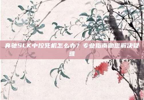 奔驰SLK中控死机怎么办？专业指南助您解决疑难