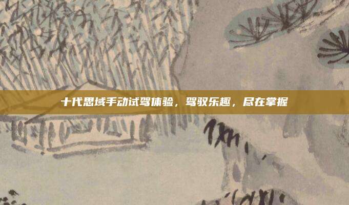 十代思域手动试驾体验，驾驭乐趣，尽在掌握