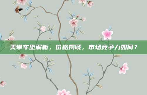 美带车型解析,价格揭晓,市场竞争力如何?
