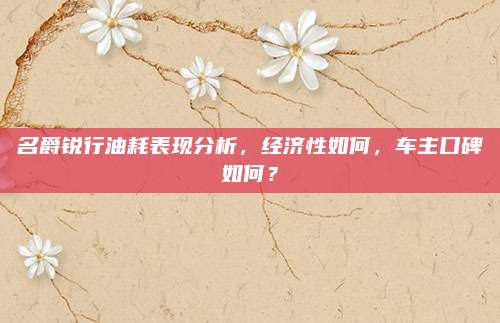 名爵锐行油耗表现分析,经济性如何,车主口碑如何?