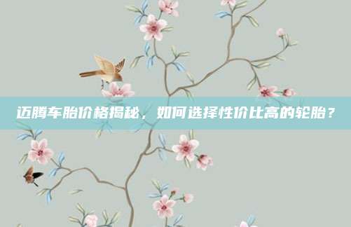迈腾车胎价格揭秘,如何选择性价比高的轮胎?