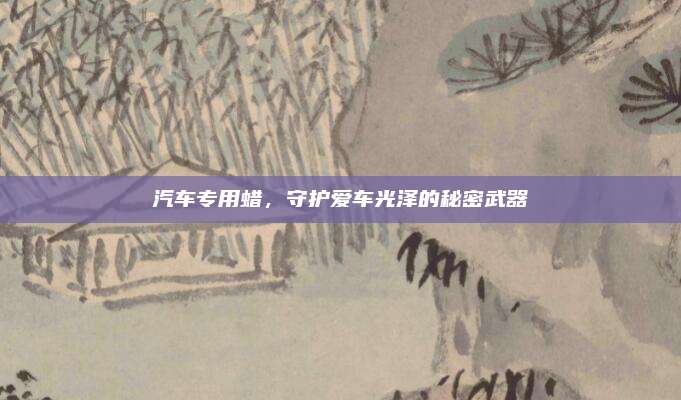 汽车专用蜡,守护爱车光泽的秘密武器