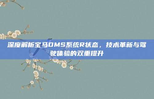 深度解析宝马DMS系统R状态,技术革新与驾驶体验的双重提升