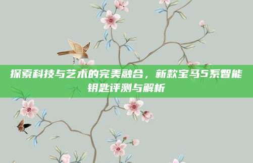 探索科技与艺术的完美融合,新款宝马5系智能钥匙评测与解析