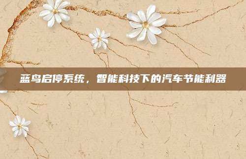 蓝鸟启停系统,智能科技下的汽车节能利器