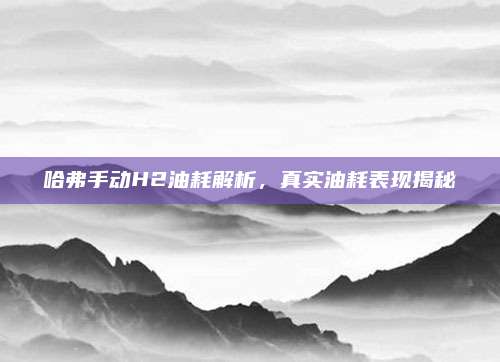 哈弗手动H2油耗解析,真实油耗表现揭秘