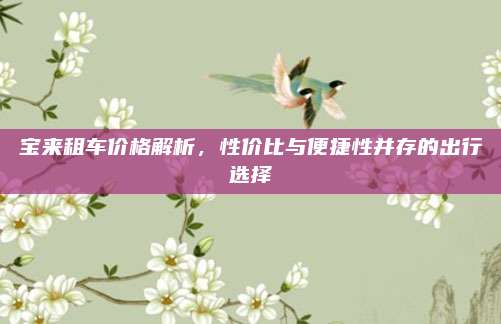 宝来租车价格解析,性价比与便捷性并存的出行选择
