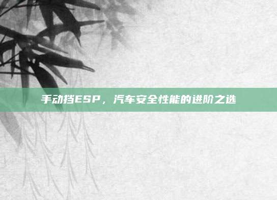 手动挡ESP,汽车安全性能的进阶之选