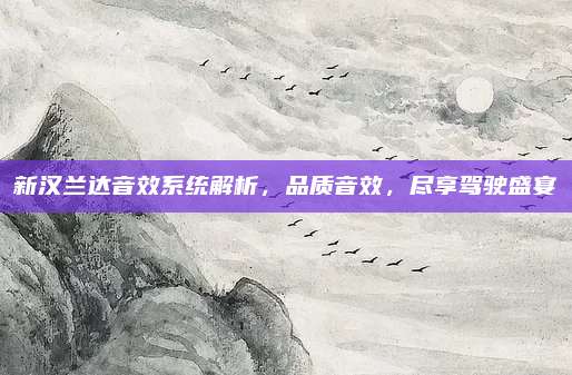 新汉兰达音效系统解析,品质音效,尽享驾驶盛宴