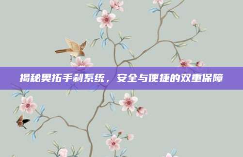 揭秘奥拓手刹系统,安全与便捷的双重保障