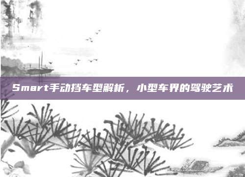 Smart手动挡车型解析,小型车界的驾驶艺术