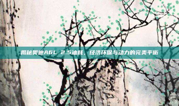 揭秘奥迪A6L 2.5油耗,经济环保与动力的完美平衡