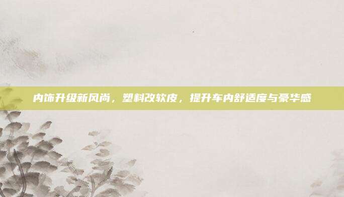 内饰升级新风尚,塑料改软皮,提升车内舒适度与豪华感