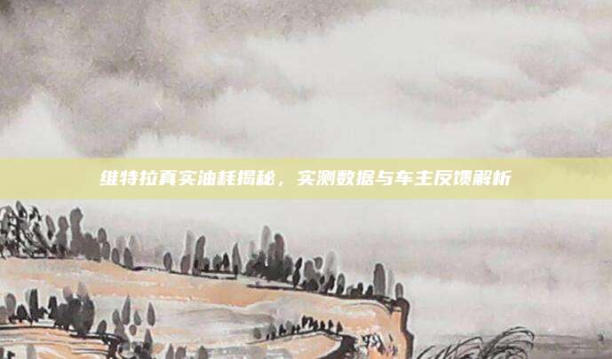 维特拉真实油耗揭秘，实测数据与车主反馈解析