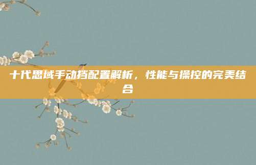 十代思域手动挡配置解析，性能与操控的完美结合