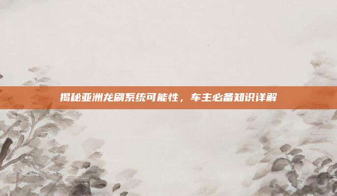 揭秘亚洲龙刷系统可能性,车主必备知识详解