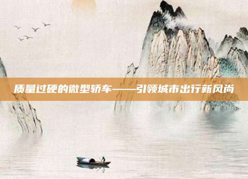 质量过硬的微型轿车——引领城市出行新风尚