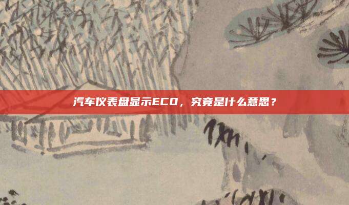 汽车仪表盘显示ECO，究竟是什么意思？