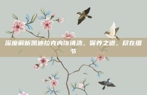 深度解析凯迪拉克内饰清洗,保养之道,尽在细节