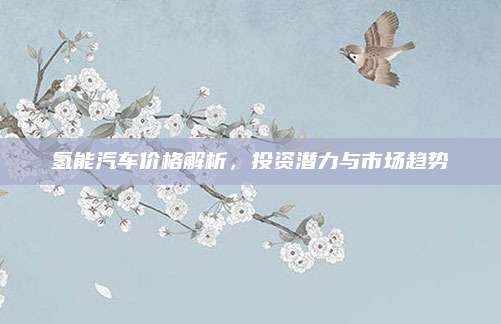 氢能汽车价格解析,投资潜力与市场趋势