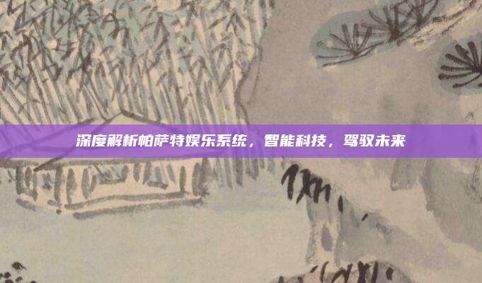 深度解析帕萨特娱乐系统,智能科技,驾驭未来