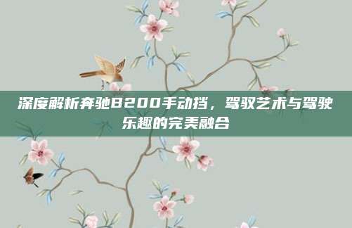 深度解析奔驰B200手动挡,驾驭艺术与驾驶乐趣的完美融合