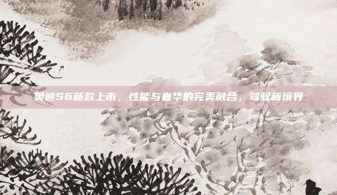 奥迪S6新款上市,性能与奢华的完美融合,驾驭新境界