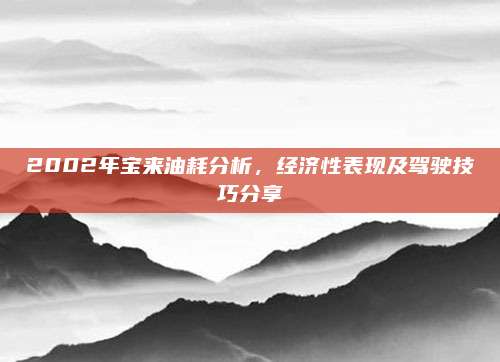 2002年宝来油耗分析,经济性表现及驾驶技巧分享
