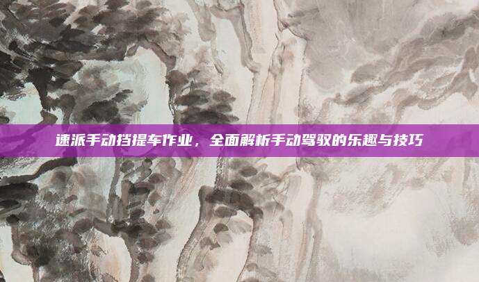速派手动挡提车作业,全面解析手动驾驭的乐趣与技巧