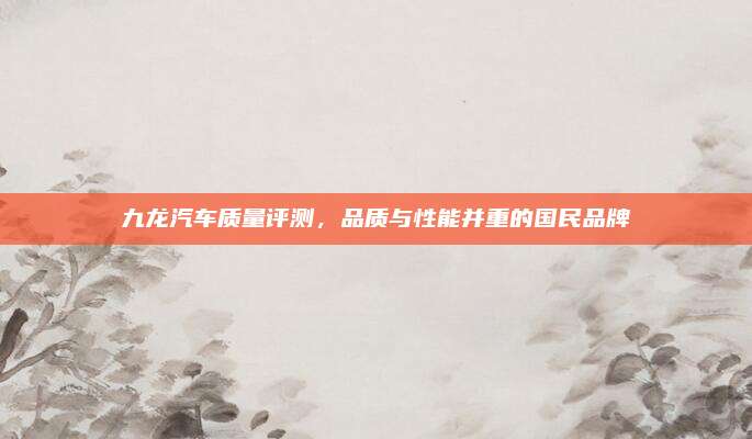 九龙汽车质量评测,品质与性能并重的国民品牌