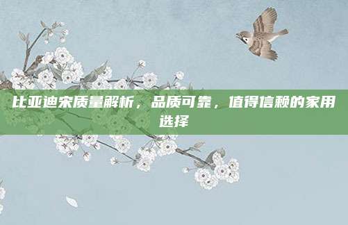 比亚迪宋质量解析，品质可靠，值得信赖的家用选择
