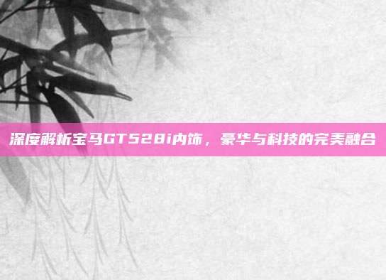 深度解析宝马GT528i内饰，豪华与科技的完美融合