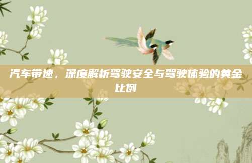汽车带速，深度解析驾驶安全与驾驶体验的黄金比例