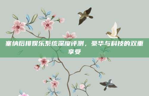 塞纳后排娱乐系统深度评测,豪华与科技的双重享受
