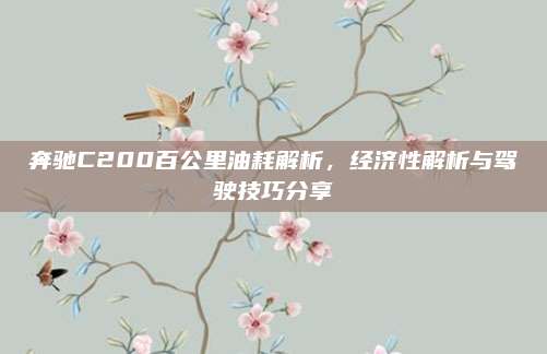 奔驰C200百公里油耗解析,经济性解析与驾驶技巧分享