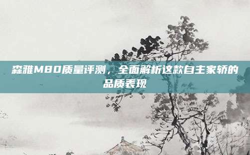 森雅M80质量评测,全面解析这款自主家轿的品质表现