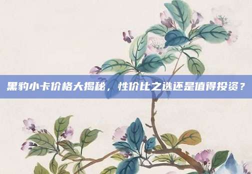 黑豹小卡价格大揭秘,性价比之选还是值得投资?