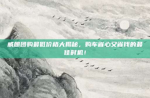 威朗团购最低价格大揭秘,购车省心又省钱的最佳时机!