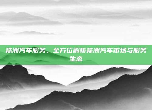 株洲汽车服务，全方位解析株洲汽车市场与服务生态