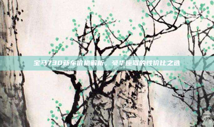宝马730新车价格解析,豪华座驾的性价比之选