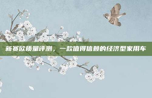 新赛欧质量评测,一款值得信赖的经济型家用车