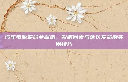 汽车电瓶寿命全解析,影响因素与延长寿命的实用技巧
