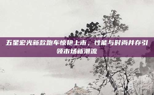 五星宏光新款跑车惊艳上市,性能与时尚并存引领市场新潮流